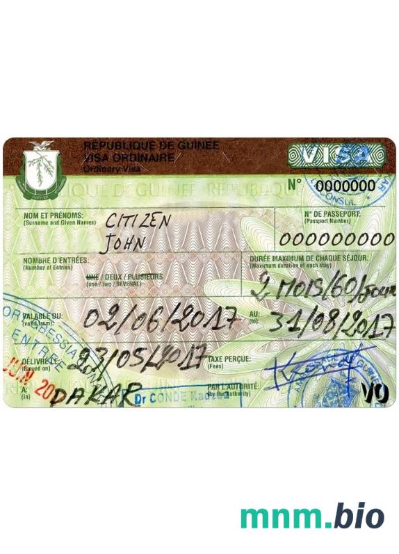Guine travel visa w pełni edytowalny PSD